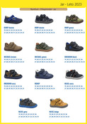 Katalog