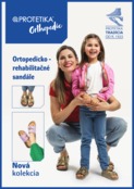 Katalog